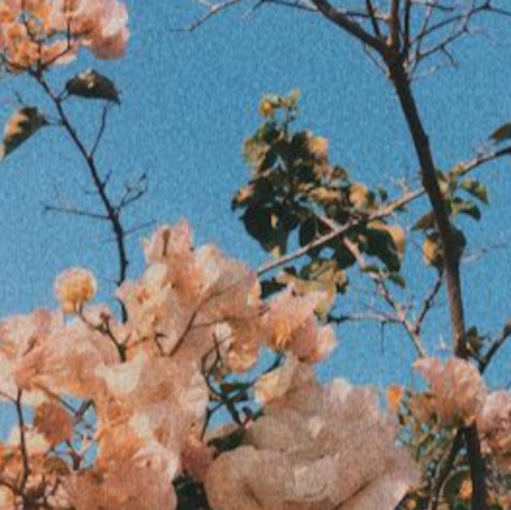 Meet your Posher, Paige